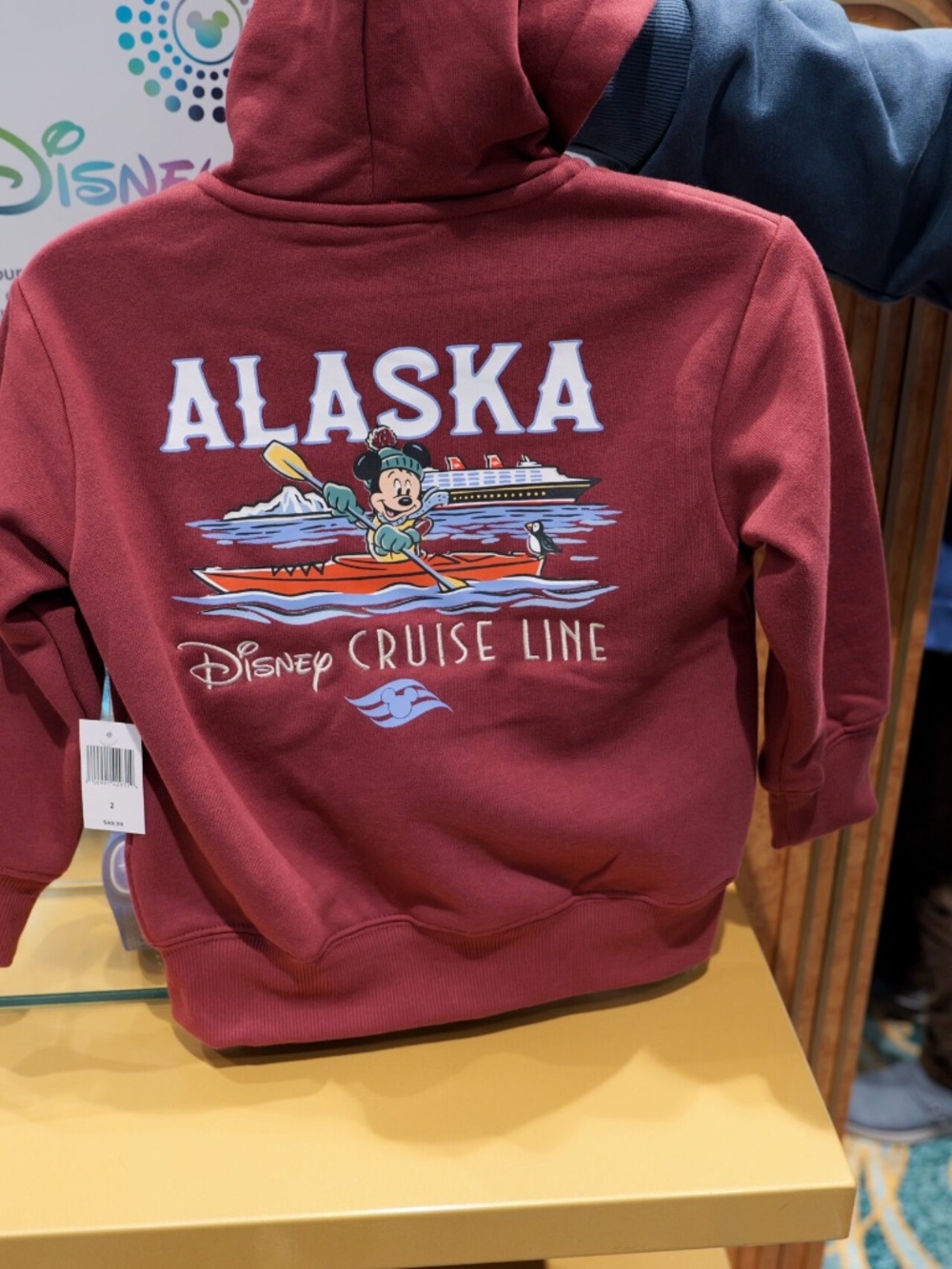 Disney Cruise Line Alaska Zip Up Hoodie